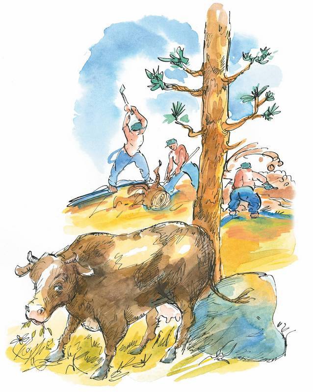 Иллюстрация к книге — Маленький подарок Антона [i_120.jpg]