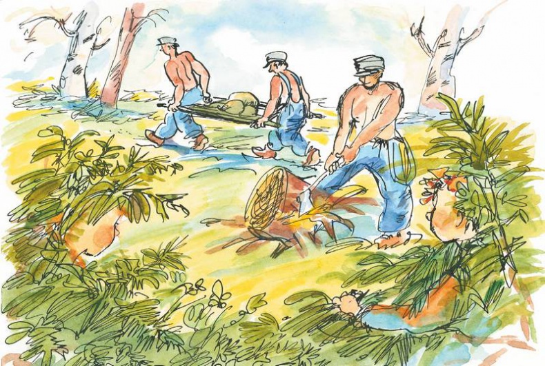 Иллюстрация к книге — Маленький подарок Антона [i_128.jpg]