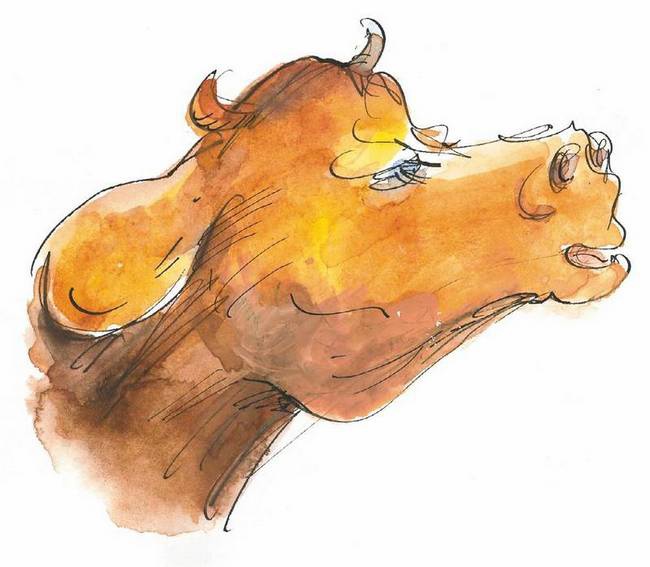 Иллюстрация к книге — Маленький подарок Антона [i_130.jpg]