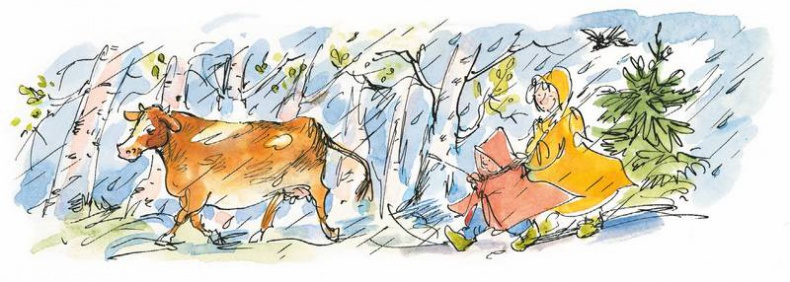 Иллюстрация к книге — Маленький подарок Антона [i_140.jpg]