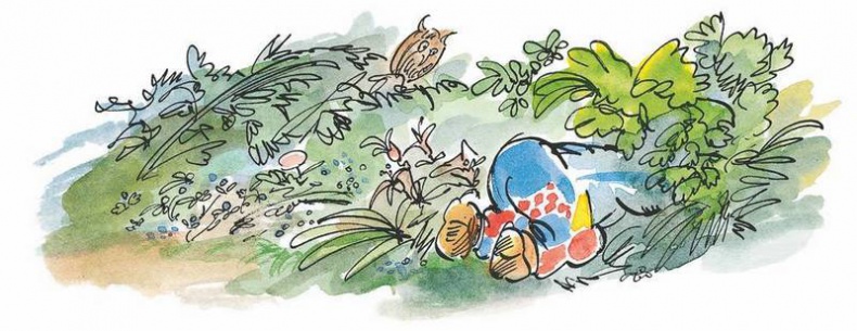 Иллюстрация к книге — Папа, мама, бабушка, восемь детей и грузовик [i_036.jpg]