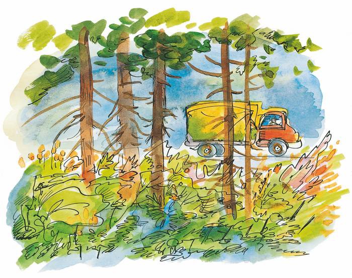 Иллюстрация к книге — Папа, мама, бабушка, восемь детей и грузовик [i_039.jpg]