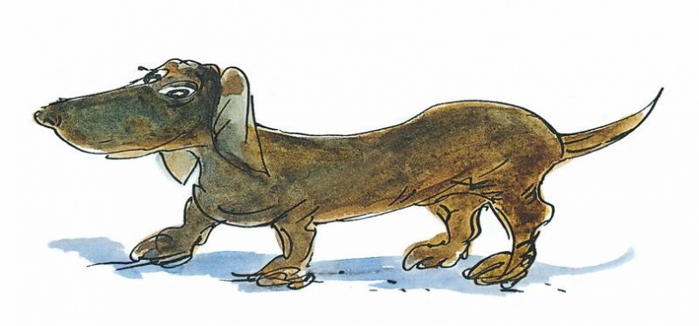 Иллюстрация к книге — Папа, мама, бабушка, восемь детей и грузовик [i_072.jpg]