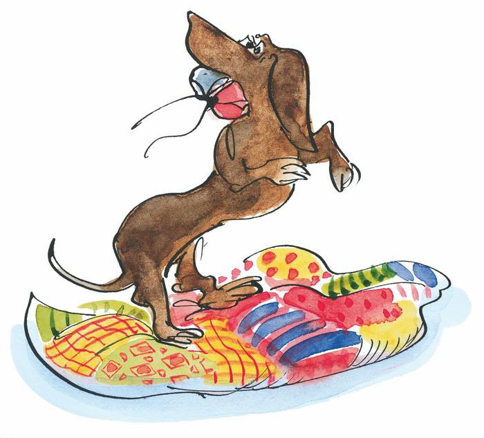 Иллюстрация к книге — Папа, мама, бабушка, восемь детей и грузовик [i_074.jpg]