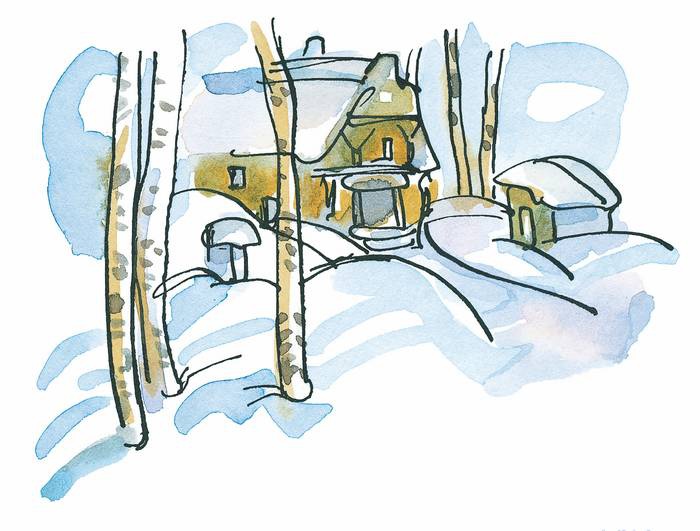 Иллюстрация к книге — Папа, мама, бабушка, восемь детей и грузовик [i_100.jpg]