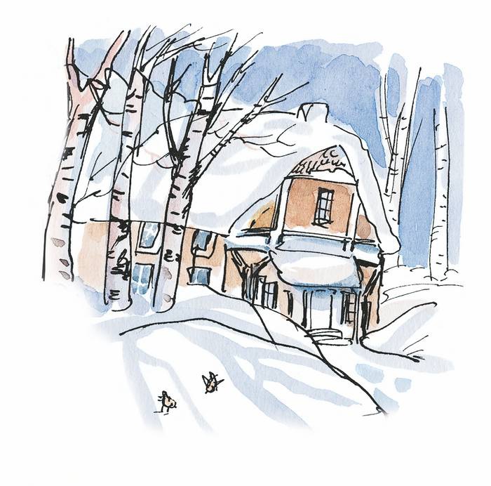 Иллюстрация к книге — Папа, мама, бабушка, восемь детей и грузовик [i_110.jpg]