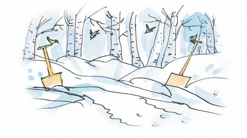 Иллюстрация к книге — Папа, мама, бабушка, восемь детей и грузовик [i_112.jpg]