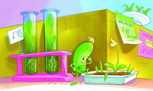 Иллюстрация к книге — Про Огуречика и Помидорика [_020.jpg]