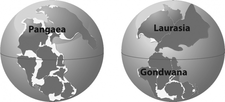 Иллюстрация к книге — Битва цивилизаций. Что грозит человечеству? [Autogen_eBook_id4.jpg]