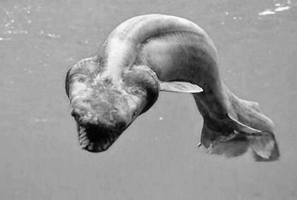 Иллюстрация к книге — Великие тайны Вселенной. От древних цивилизаций до наших дней [_59.jpg]