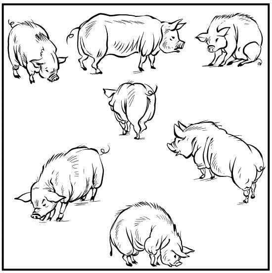 Иллюстрация к книге — Головоломки. Задачи. Фокусы. Развлечения [i_035.jpg]