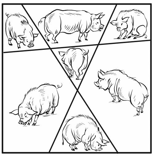 Иллюстрация к книге — Головоломки. Задачи. Фокусы. Развлечения [i_075.jpg]