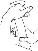 Иллюстрация к книге — Что французские женщины умеют делать в постели [_52.jpg]