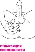 Иллюстрация к книге — Что французские женщины умеют делать в постели [_71.jpg]