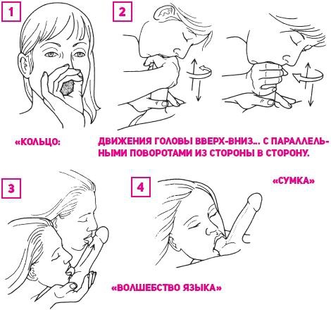 Иллюстрация к книге — Что французские женщины умеют делать в постели [_73.jpg]