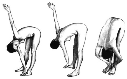 Иллюстрация к книге — Йога и сексуальные практики [i_020.jpg]