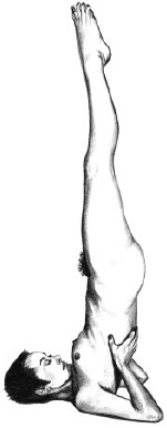 Иллюстрация к книге — Йога и сексуальные практики [i_032.jpg]