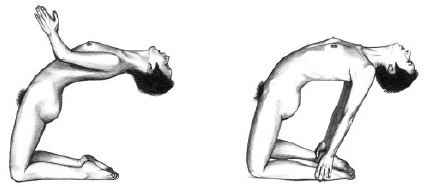 Иллюстрация к книге — Йога и сексуальные практики [i_035.jpg]