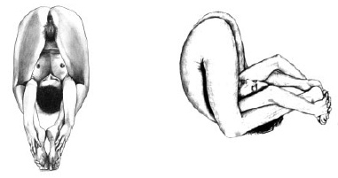 Иллюстрация к книге — Йога и сексуальные практики [i_037.jpg]