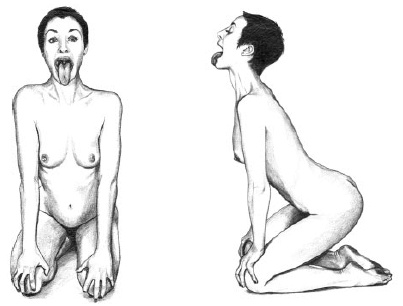 Иллюстрация к книге — Йога и сексуальные практики [i_040.jpg]