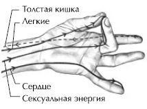 Иллюстрация к книге — Йога и сексуальные практики [i_059.jpg]