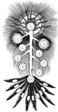 Иллюстрация к книге — Йога и сексуальные практики [i_073.jpg]