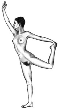 Иллюстрация к книге — Йога и сексуальные практики [i_085.jpg]