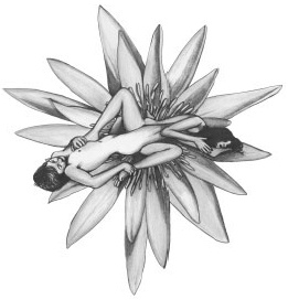 Иллюстрация к книге — Йога и сексуальные практики [i_086.jpg]