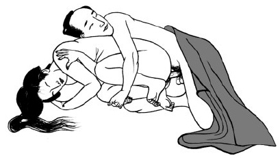 Иллюстрация к книге — Йога и сексуальные практики [i_220.jpg]