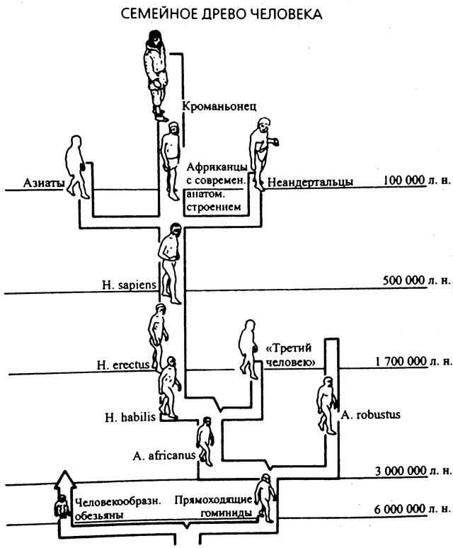 Иллюстрация к книге — Третий шимпанзе [nonjpegpng_ris2.jpg]