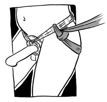 Иллюстрация к книге — Библия БДСМ. Полное руководство [i_009.jpg]