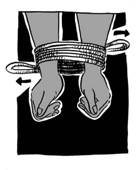 Иллюстрация к книге — Библия БДСМ. Полное руководство [i_017.jpg]