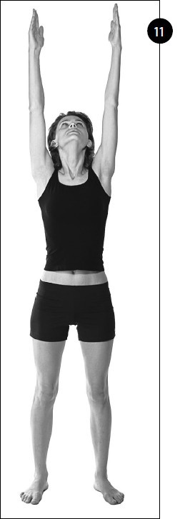 Иллюстрация к книге — Упражнения для увеличения груди [i_011.jpg]