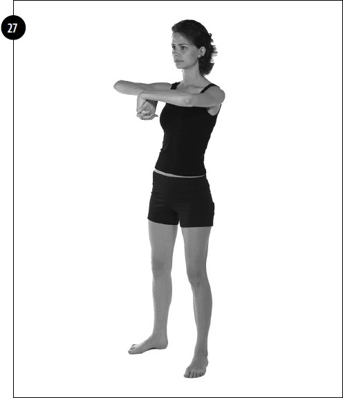 Иллюстрация к книге — Упражнения для увеличения груди [i_021.jpg]