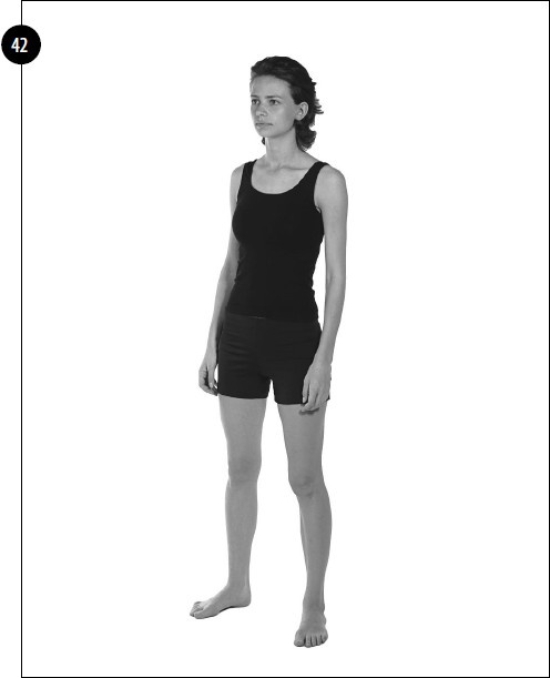 Иллюстрация к книге — Упражнения для увеличения груди [i_033.jpg]