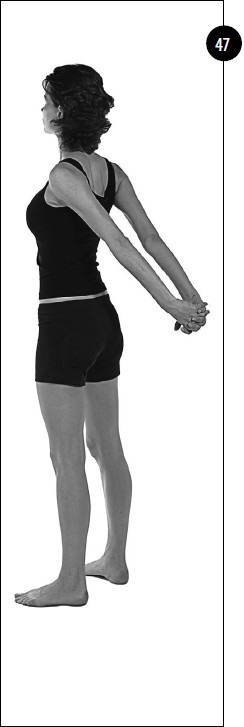 Иллюстрация к книге — Упражнения для увеличения груди [i_038.jpg]