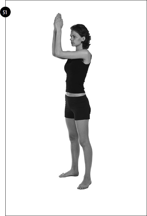 Иллюстрация к книге — Упражнения для увеличения груди [i_039.jpg]