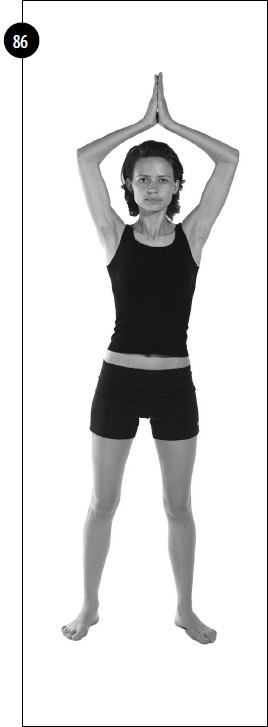 Иллюстрация к книге — Упражнения для увеличения груди [i_059.jpg]