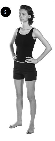 Иллюстрация к книге — Упражнения для увеличения груди [i_067.jpg]