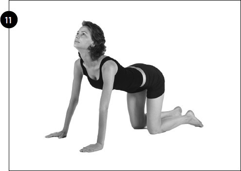 Иллюстрация к книге — Упражнения для увеличения груди [i_073.jpg]