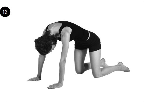 Иллюстрация к книге — Упражнения для увеличения груди [i_074.jpg]