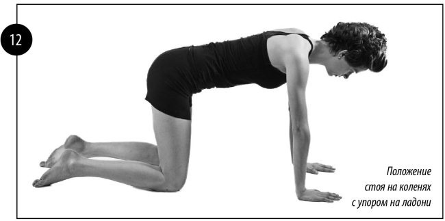 Иллюстрация к книге — Интимная гимнастика для женщин [i_013.jpg]