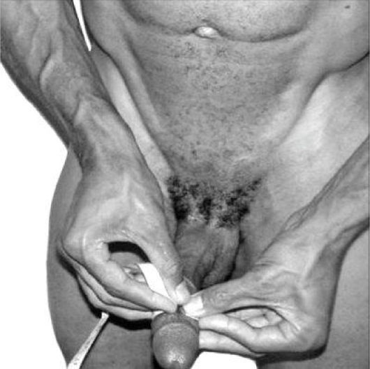 Иллюстрация к книге — Упражнения для увеличения пениса [i_003.jpg]