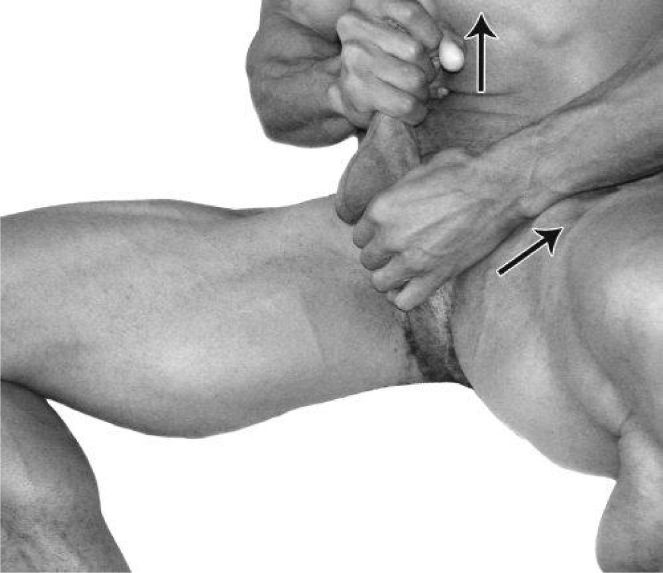 Иллюстрация к книге — Упражнения для увеличения пениса [i_047.jpg]