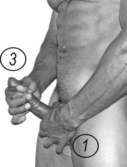 Иллюстрация к книге — Упражнения для увеличения пениса [i_067.jpg]