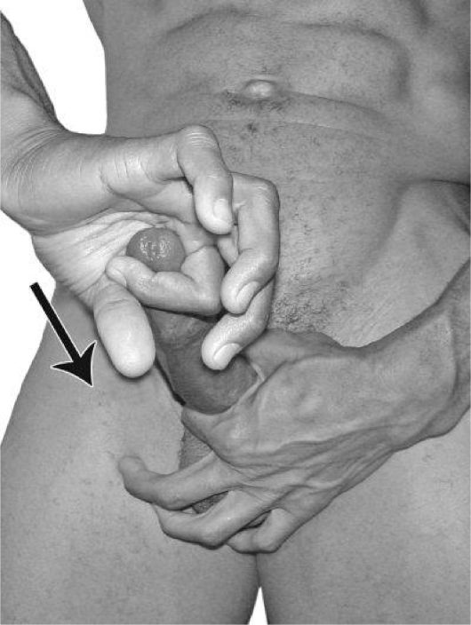 Иллюстрация к книге — Упражнения для увеличения пениса [i_080.jpg]