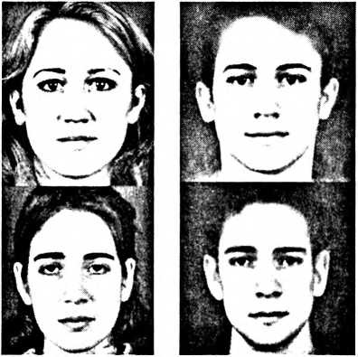 Иллюстрация к книге — Любовь и секс. Как мы ими занимаемся [i_004.jpg]