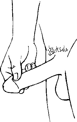 Иллюстрация к книге — Любовь и секс. Как мы ими занимаемся [i_027.jpg]