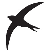 Иллюстрация к книге — Библия стервы. Правила, по которым играют настоящие женщины [i_059.jpg]