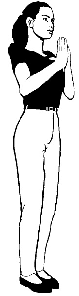 Иллюстрация к книге — Школа гейши. Мудрость Востока для современной женщины [i_001.jpg]